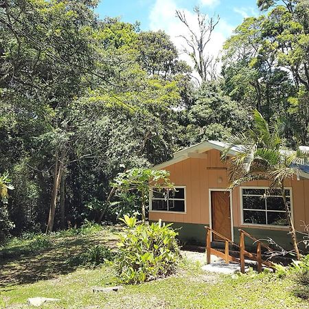 Forest Garden House Monteverde ภายนอก รูปภาพ