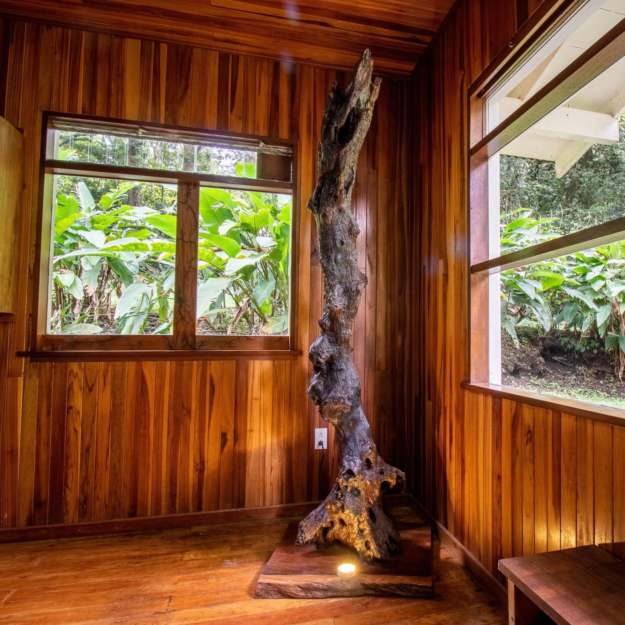 Forest Garden House Monteverde ภายนอก รูปภาพ