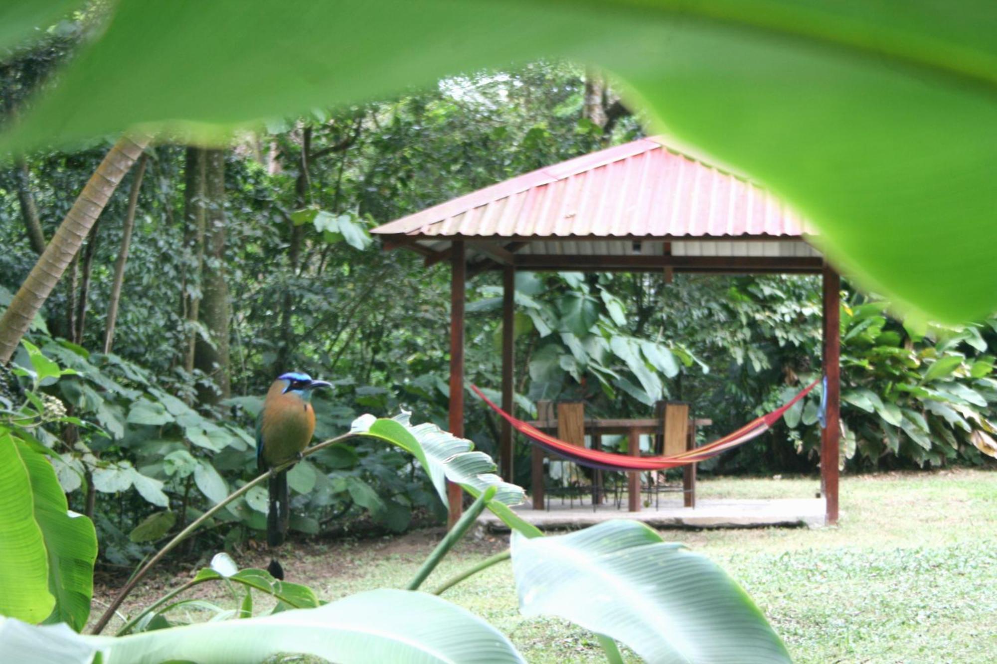 Forest Garden House Monteverde ภายนอก รูปภาพ